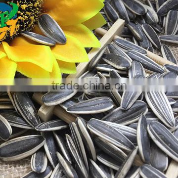 best cheap Sunflower seed 601 Get Latest Price