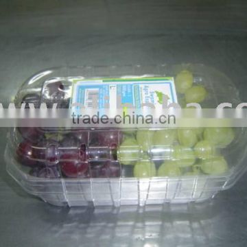 Mix Seedless Grapes