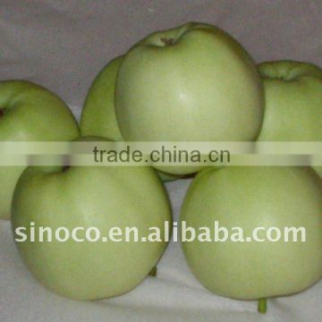 2012 New Crop Golden Apples