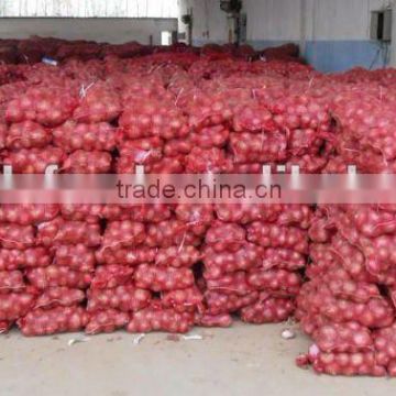 china onion goods/plenty of onion harvest