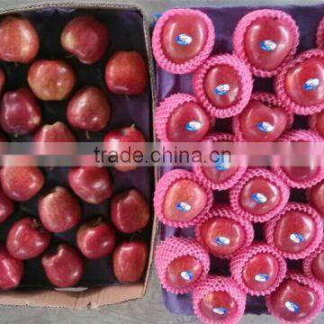 Fresh Style and Apple Type fresh apple from China 2014