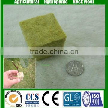 6''x6''x6' 'Hydroponic Rockwool Cubes for Greehouse Planting