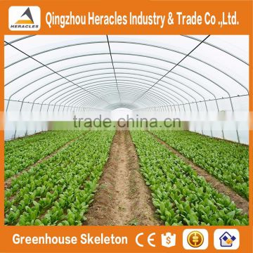 Heracles low cost vegetable greenhouse/Hoop house