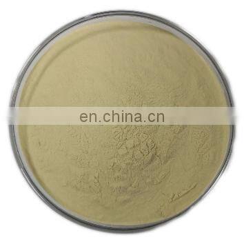 High quality Astragalus Membranaceus Extract
