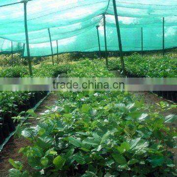 HDPE sun shade netting