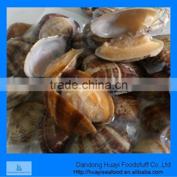 vacuum clam