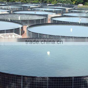 Plastic sheets-shrimp and fish pond mulching film HDPE Liner / Pond Liner for preventing virus