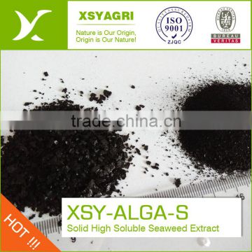 XSYAGRI Seaweed Extract Seaweed Fertilizer
