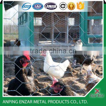 Poultry Hex Netting Fence