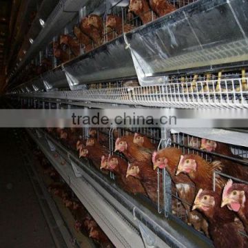 poultry equipment automatic layer chicken cage