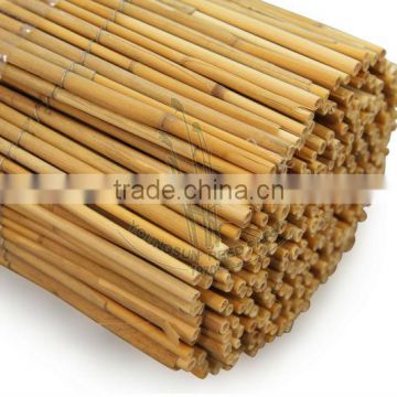 rolled reed fences