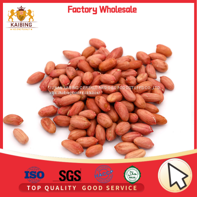 HIGH QUALITY PEANUT KERNEL FLOWER 11 TYPE FROM CHINA