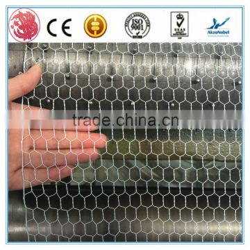 China supplier Galvanized Hexagonal Wire Mesh/Hexagonal metal mesh/ hexagonal mesh