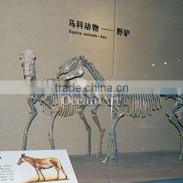 High quality fiberglass animal skeleton model