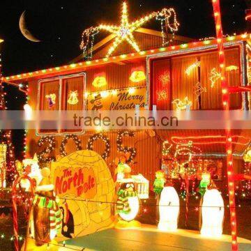 christmas light/led light decoration