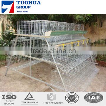160 birds chicken cage,egg laying cages