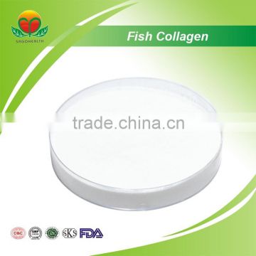 Manufacture Supply Fish Collagen