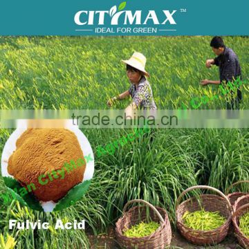 Fulvic acid organic fertilizer for rice