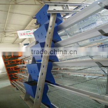 chicken farm automatic feeding system and water drinking system