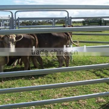 Heavy Duty 110x40mm Cattle Yard Panels in 2.8m long