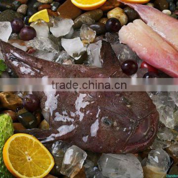 frozen monkfish tail meat