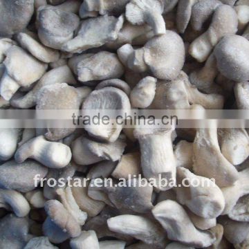 Supply China new crop Frozen oyster
