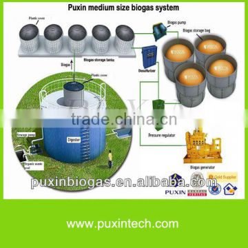 Low cost and big size PUXIN biogas plant for electricity generation