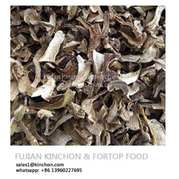 Boletus Edulis Dried Pocini Mushroom Wholesale Price