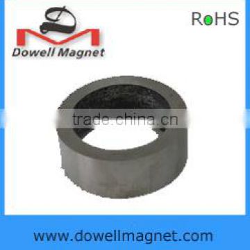 strong alnico ring magnets