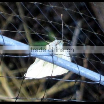PE +Anti-bird netting from China manuafcture