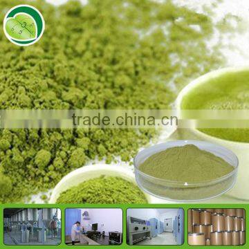 2013 new water soluble matcha organic powder