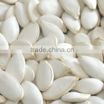 Chinese white pumpkin seeds for sale