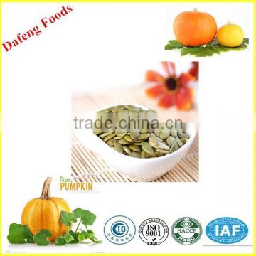 Grade AAAA pumpkin kernels with European Standard