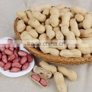 peanut manufacturer