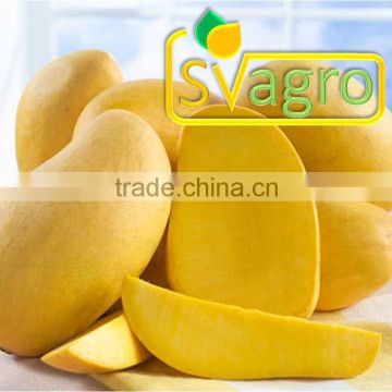 Sell Fresh Mango Powder
