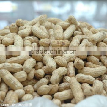factory peanut