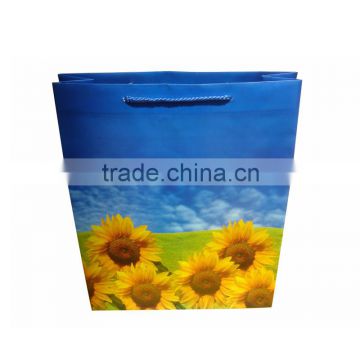 Printed custom made reusable low price unique PP hand shopping bags (BLY4-1616PP)