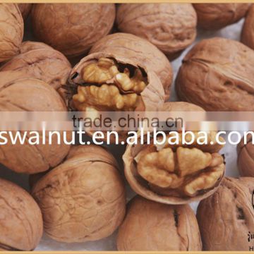 100% Organic walnut kernel
