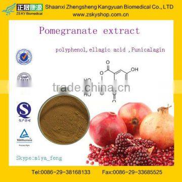 GMP Certified Manufacturer Supply Pomegranate Extract