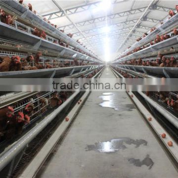 Light frame steel structure prefab poultry farm construction