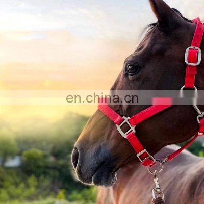 High Productivity Life Vest Pink Customized Adjustable Crazy Leather Head Horse Collar