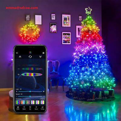 Holiday lighting decoration 5m 10m ws2812b addressable led strip light kit for Christmas