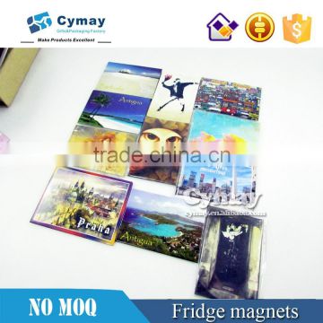 3d fridge magnet , paper print fridge magnets