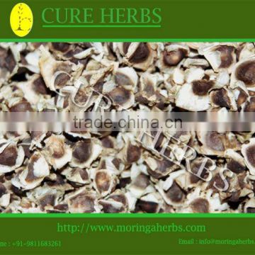Indian Natural Moringa Seeds