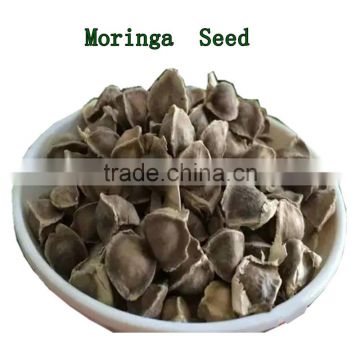 Thailand Dry Moringa Seed 1000g/bag
