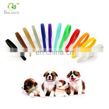Trade assurance colorful puppy ID band, pet dog collar