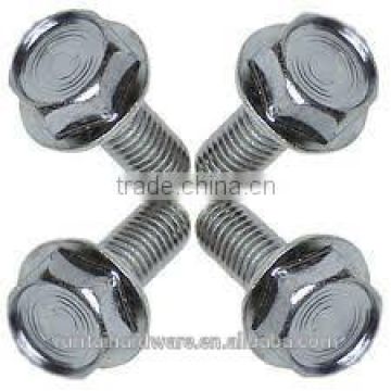 competitive price for stainless steel flange screw
