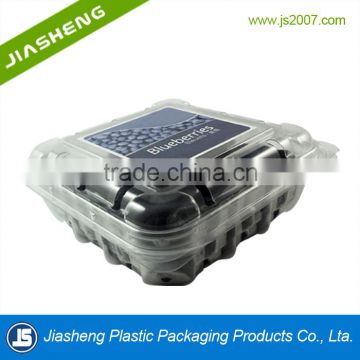 blister packaging clear plastic fruit packaging                        
                                                                                Supplier's Choice