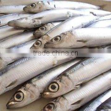 155g Canned Sardine Fish In Vegetable Oil
