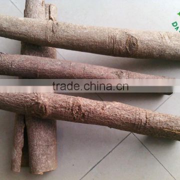 China Best quality Cassia tube